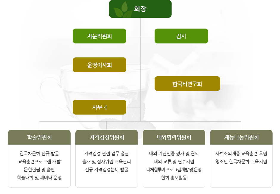 한국티바리스타협회 조직도